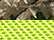 color swatch