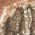Port Authority Pigment Print Camouflage Cap. C819 — #000000 color